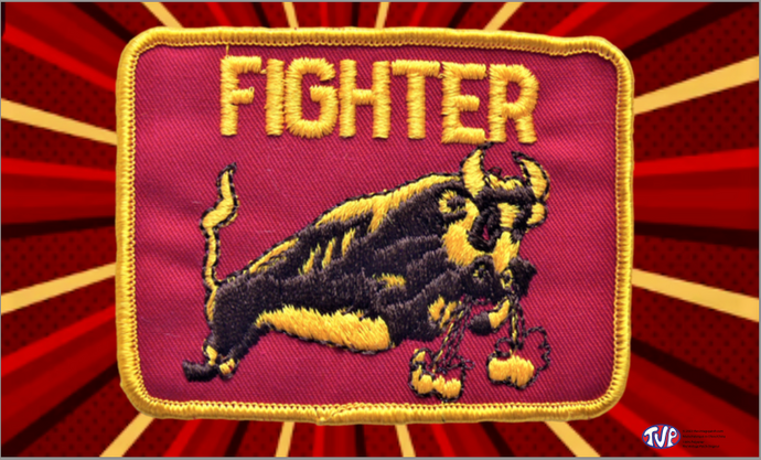 Fighter TVP Flag