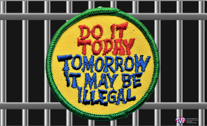 Do It Today Tomorrow It May Be Illegal TVP Flag