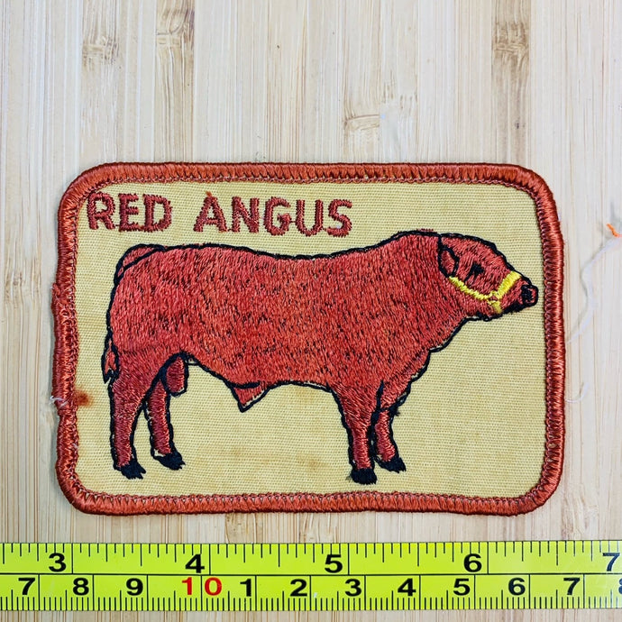 Red Angus Cow Vintage Patch