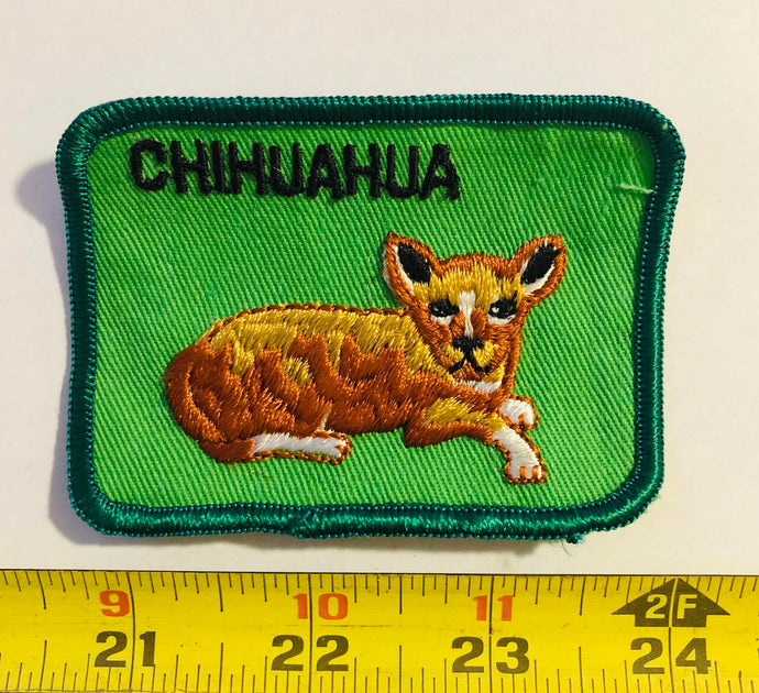 Chihuahua Vintage Patch