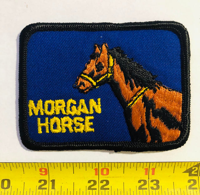 Morgan Horse Vintage Patch