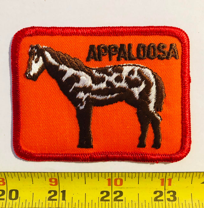 Appaloosa Horse Vintage Patch